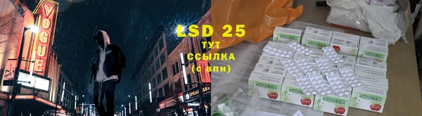 гашик Надым