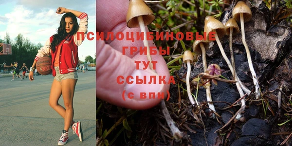 марки nbome Абаза