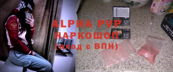 гашик Надым