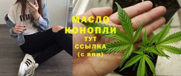 гашик Надым