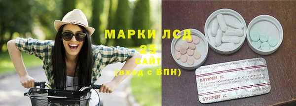 индика Абдулино